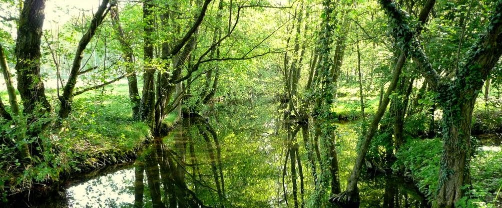 NEMOZ Jacques - Chauffage Sanitaire en Bièvre Liers