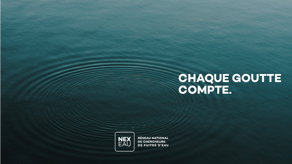 NEXEAU Recherche de fuites, Dax (Nouvelle-Aquitaine)