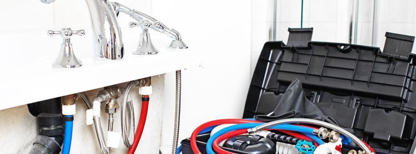 CORDEIRO JOSE FERNANDO