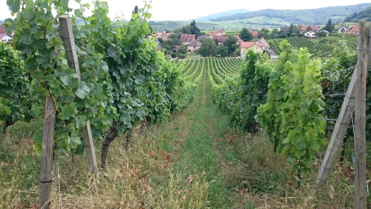 Jmd Sanitaire &Thermique