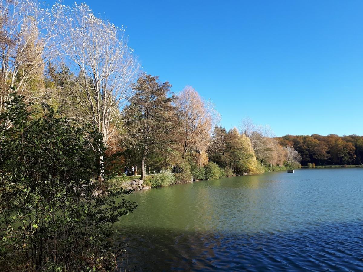 CUNIN SAS CONTREXEVILLE - GROUPE MORLOT