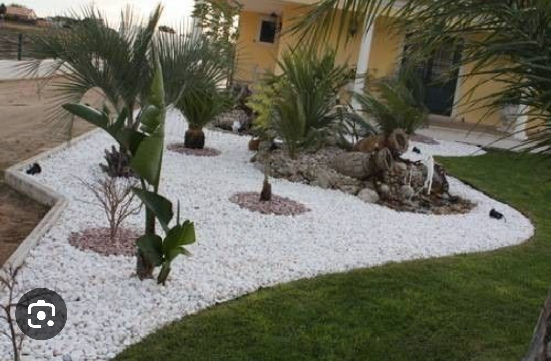 Elagage abattage entretien de jardin