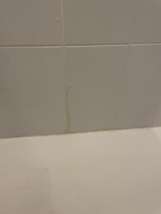 Plombier SARL HM mr MORGUEN Hermann 1