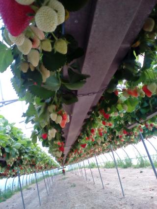 Plombier Pascutto Christian 0