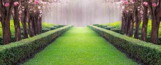 Plombier Steis Paysagiste Travaux Cournonterral 0